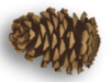 Captcha image 6864